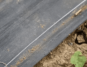 土壌の上に敷かれた黒の防草シート